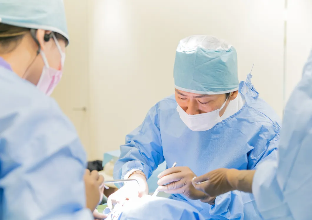 歯科医師のたった2％！世界基準の歯科医師のイメージ