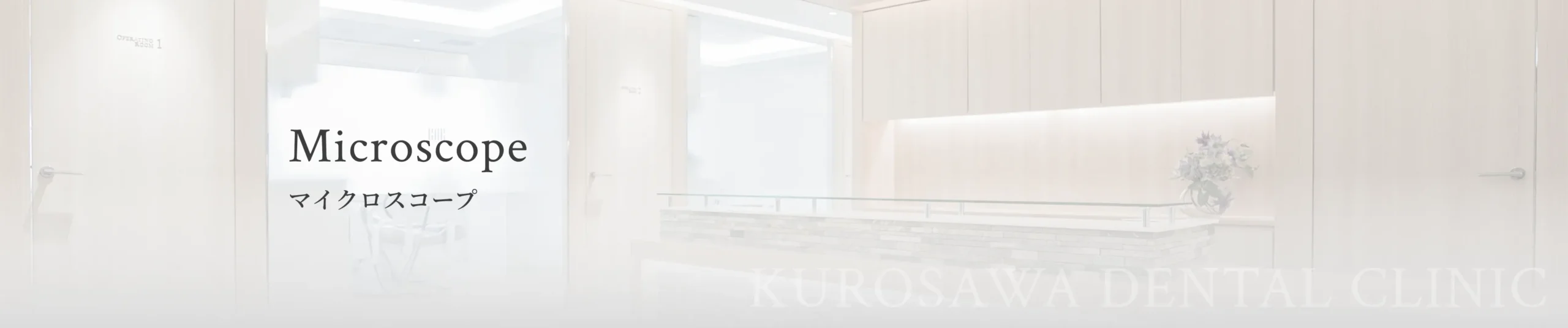 マイクロスコープ イメージ
