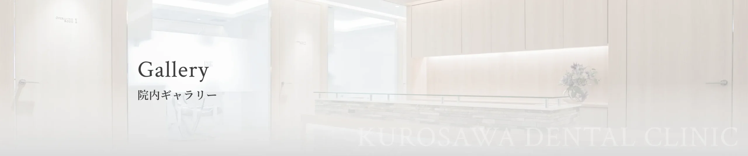 院内ギャラリー イメージ
